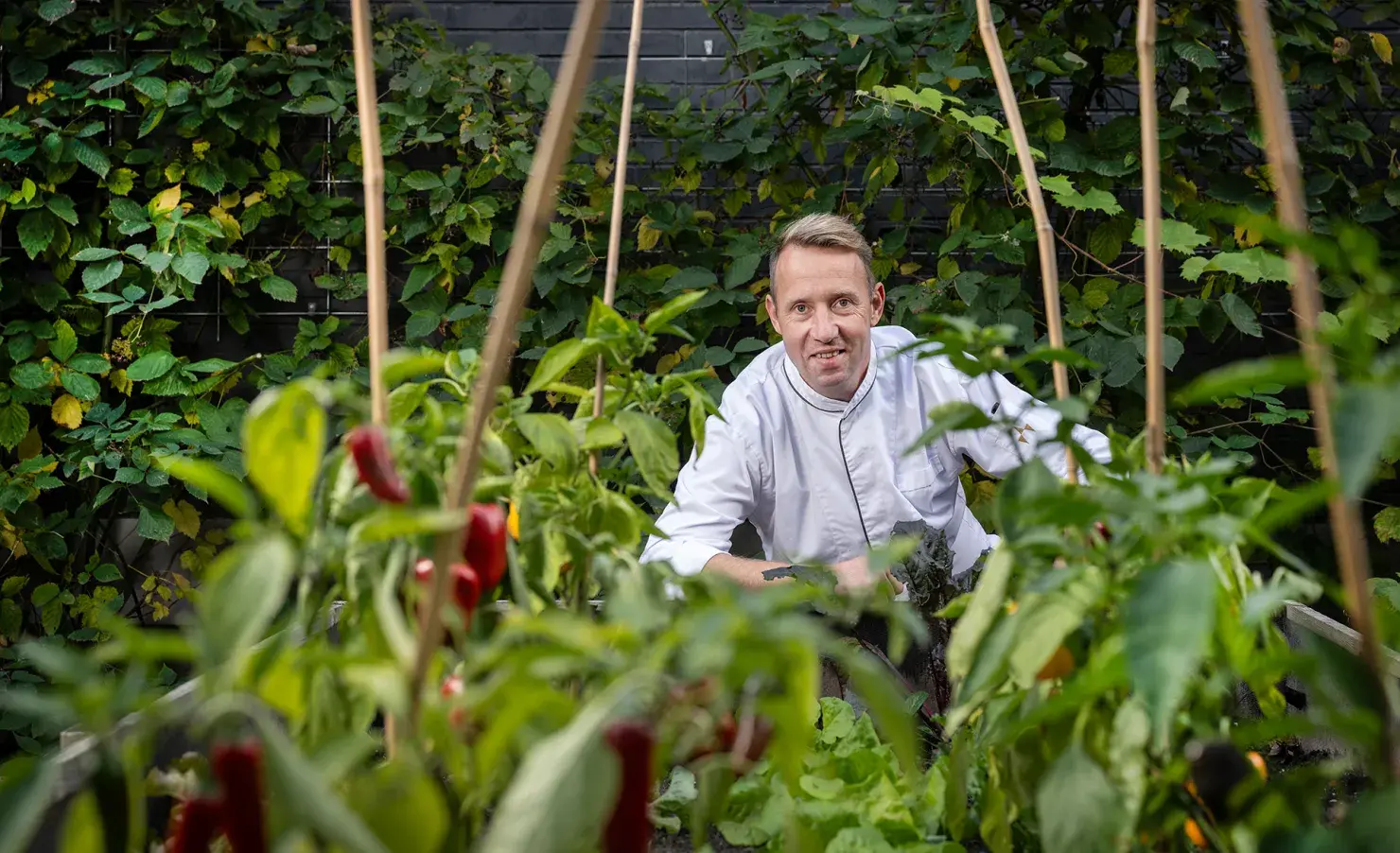 Docent in moestuin van studenten
