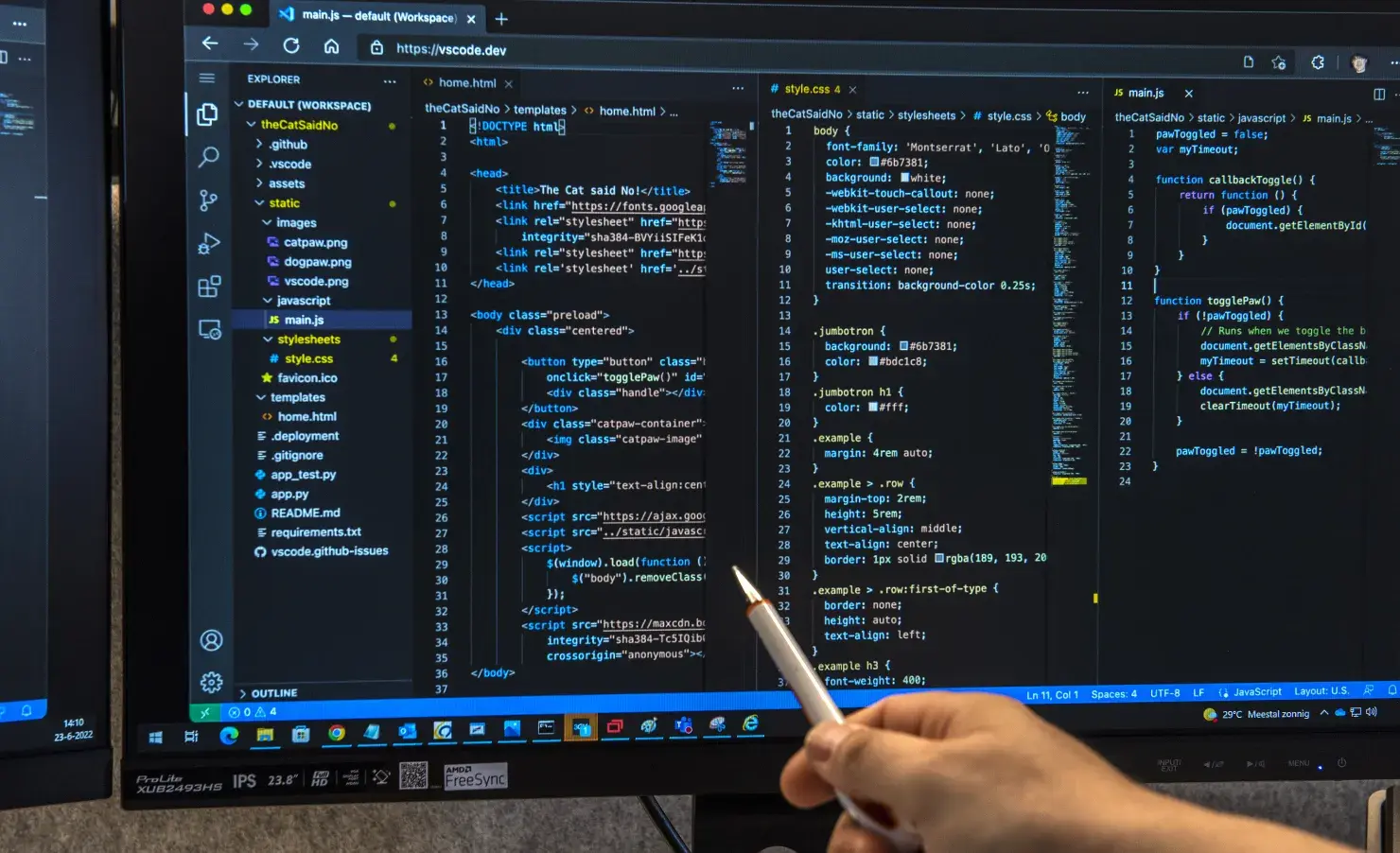 Softwareontwikkelaar