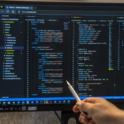 Softwareontwikkelaar