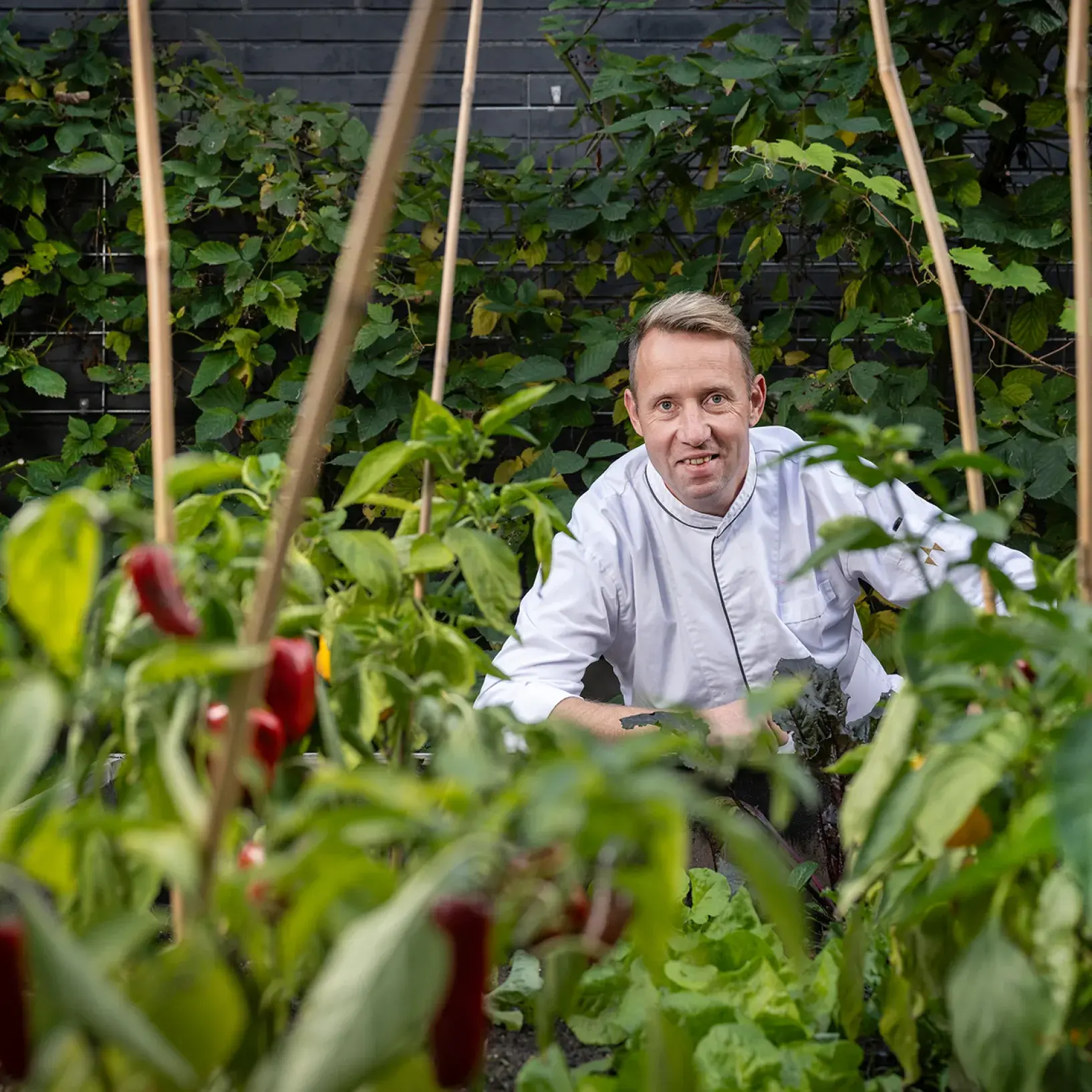 Docent in moestuin van studenten