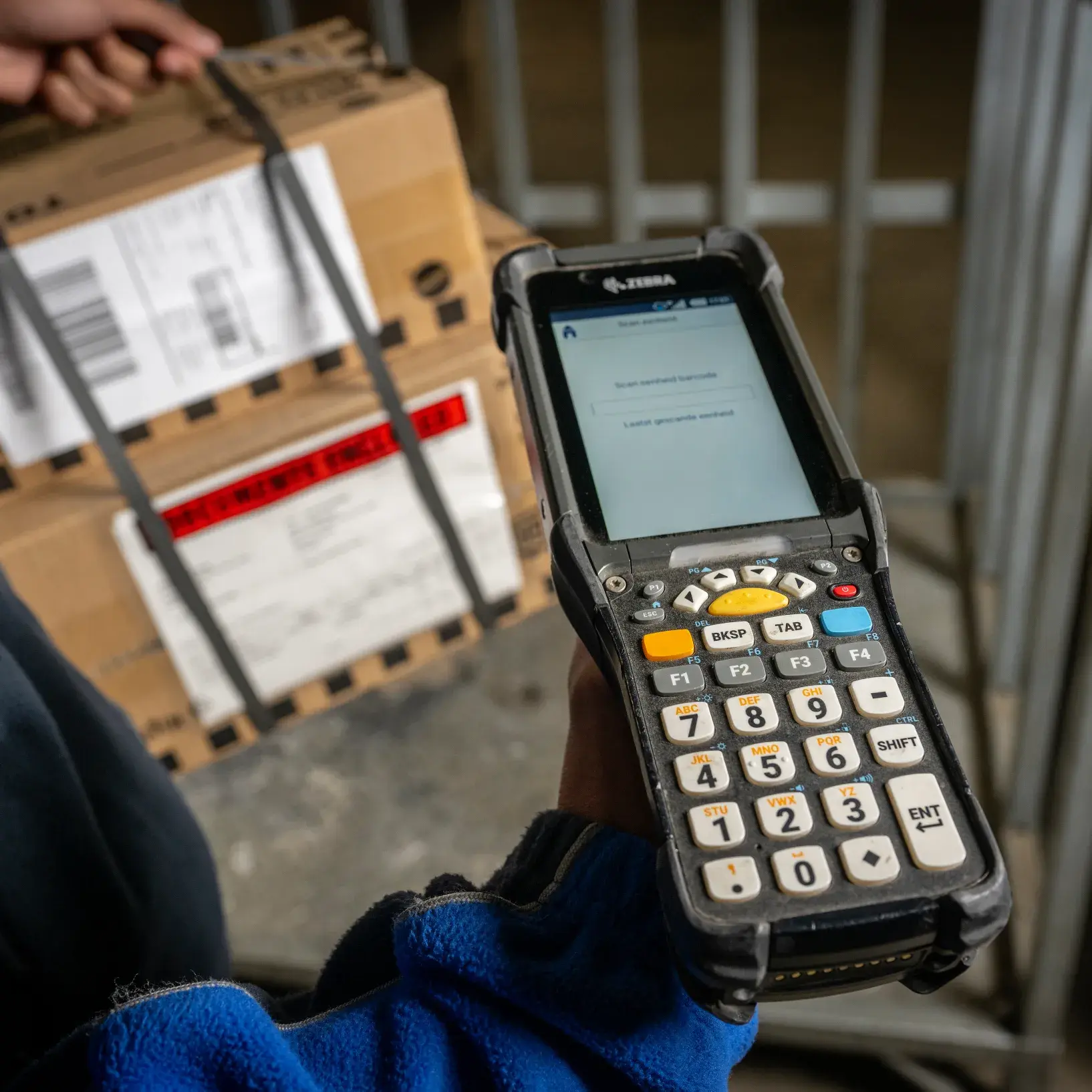 Entreeopleiding logistiek