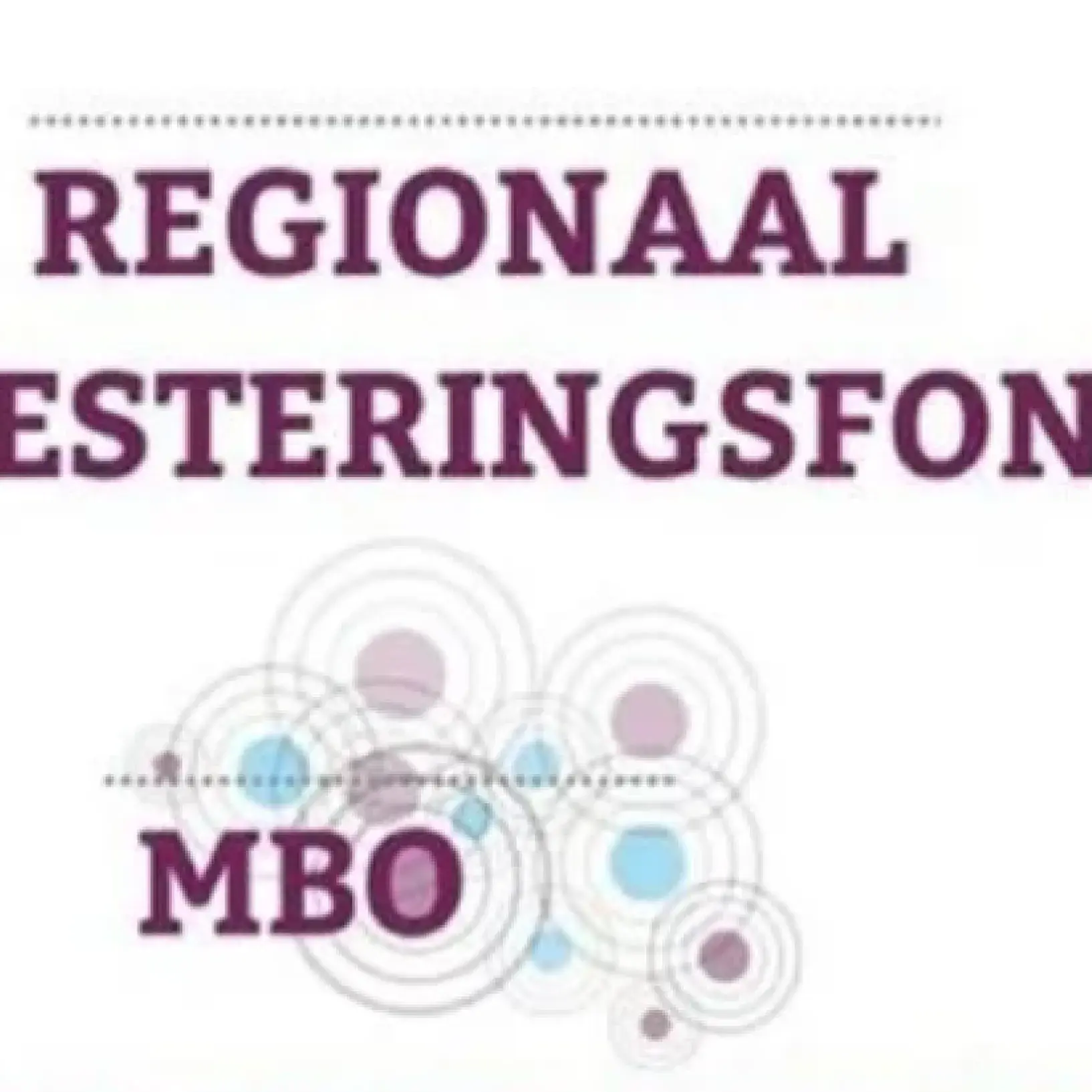 Regionaal Investeringsfonds MBO